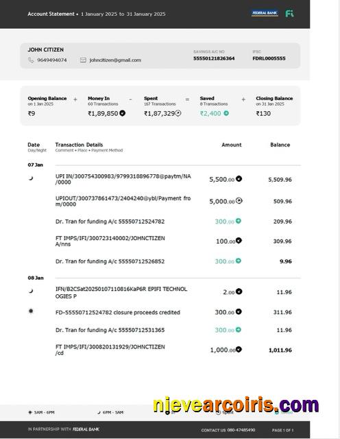 India Federal Bank account statement Word and PDF, version 3